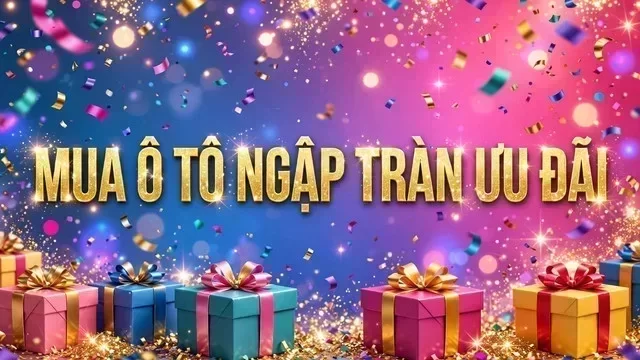Địa điểm hỗ trợ xem xe tại Cần Thơ